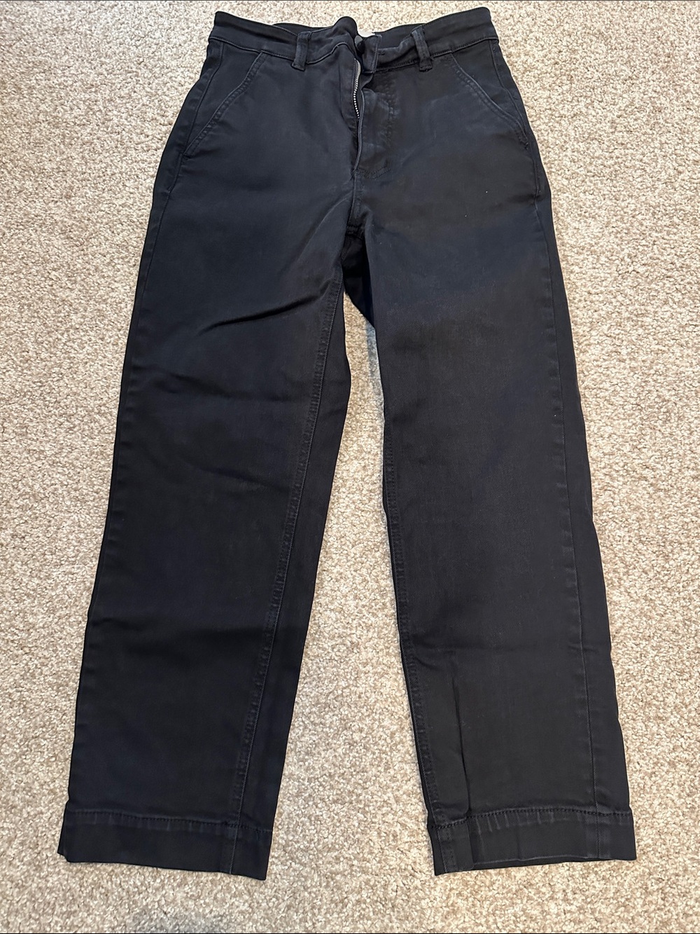 Everlane Black Straight-Leg Crop Pants
